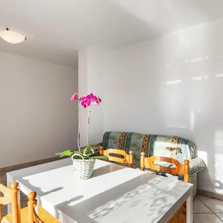 Spacious In Alto Nearby Airport Apartment